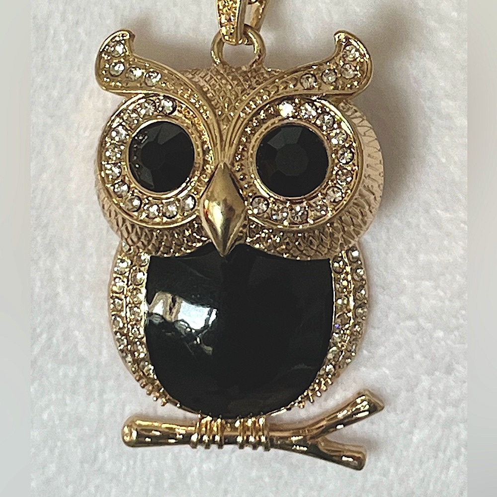 NWT Crux Owl Necklace and Earring Set Costume Jewelry